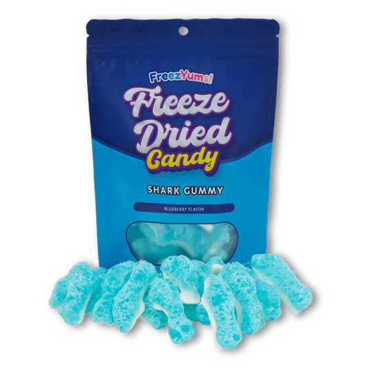 Freeze Dried Candy Shark Gummy