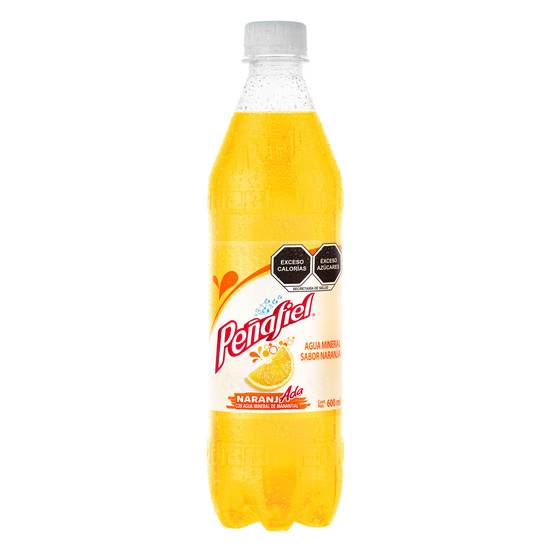 Penafiel Naranjada 600ml