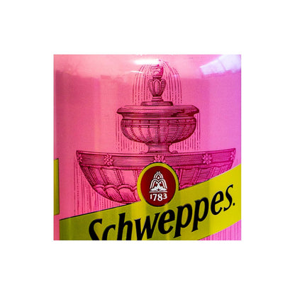 Schweppes Raspberry Ginger Ale - processed