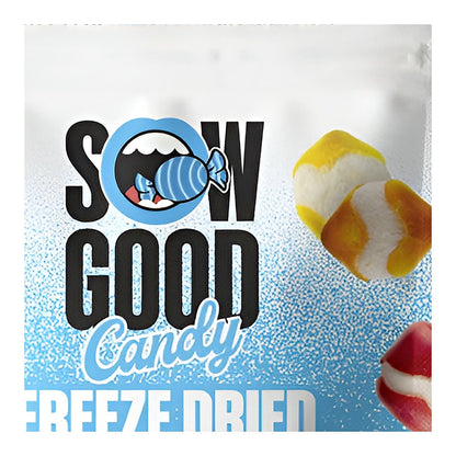 Sow Good Freeze Dried Sweet Squares - processed
